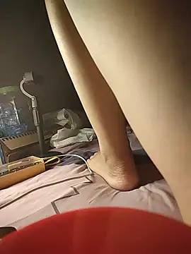 -Tara-a webcam