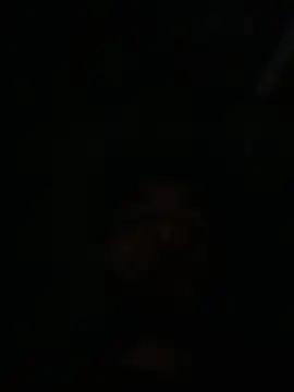 Tasty_Dickk