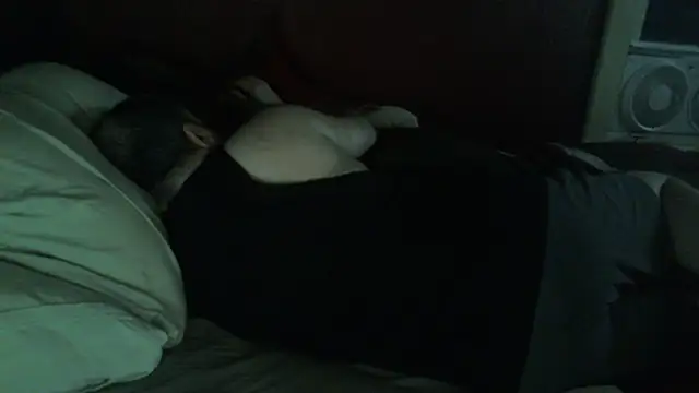 immikew1975 (M mature) - green eggs and ham