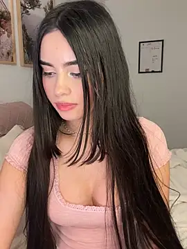 lannamodel webcam