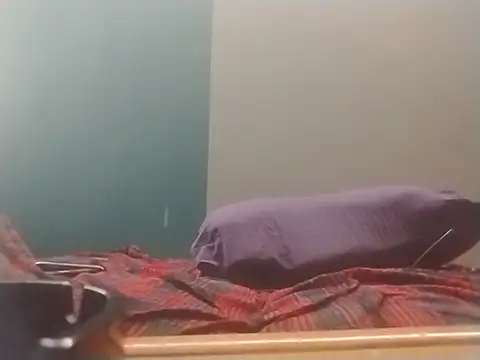 ReallyReallyReal webcam