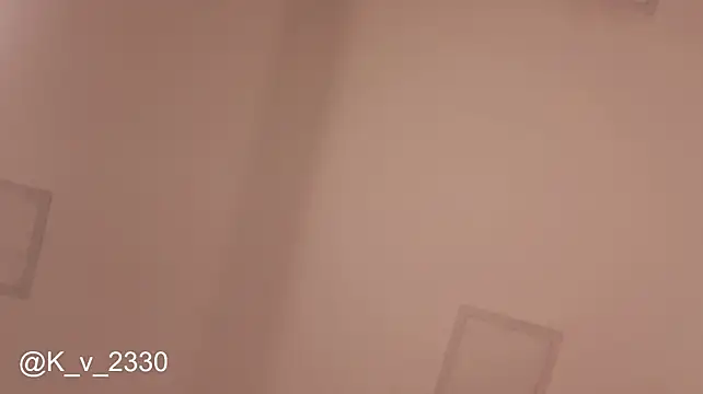 sofiesoft webcam