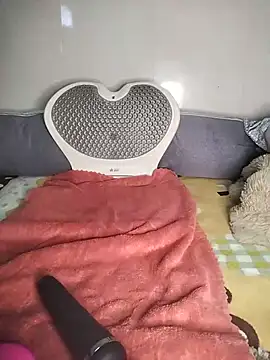 Zu_naa webcam