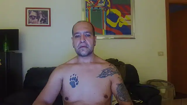 AMIRDIB2025