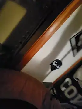 fordomatic2k webcam