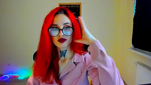 your_tora webcam