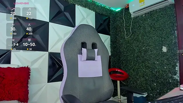 allens_joe webcam