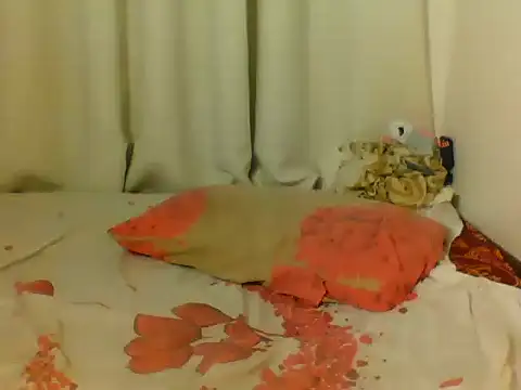Goldy_petite