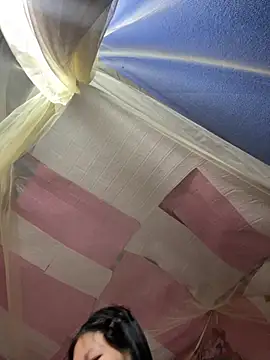 Spying_bird