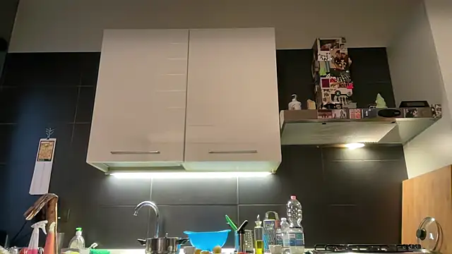 theitalianbear