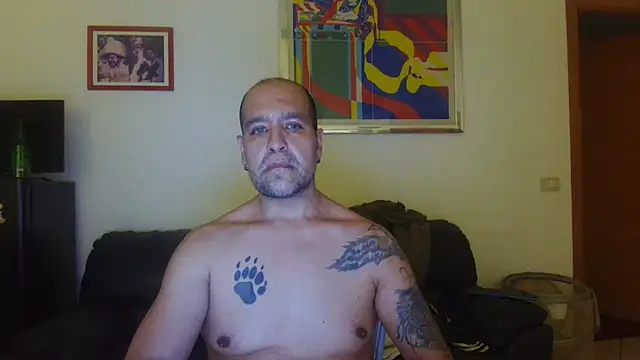 AMIRDIB2025