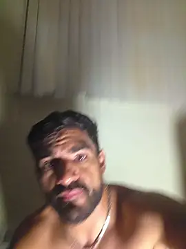 piggylatino
