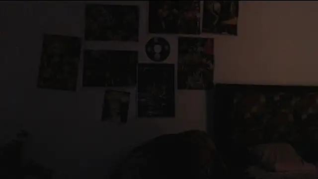 haomee webcam