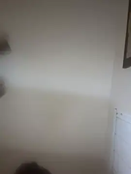 crazy4coco webcam