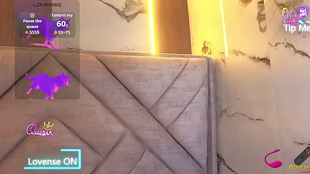 Victorycat_v