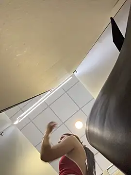 DollyTall webcam