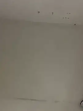 Miichii webcam