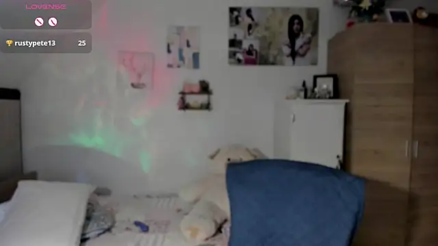 Veronikolsen- webcam