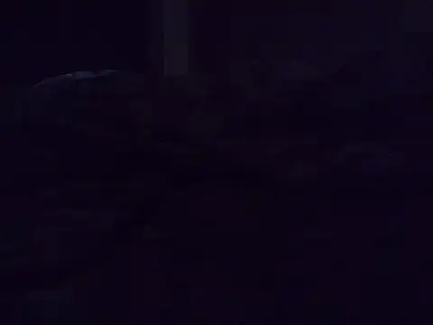 fine-ebonie live cam on StripChat