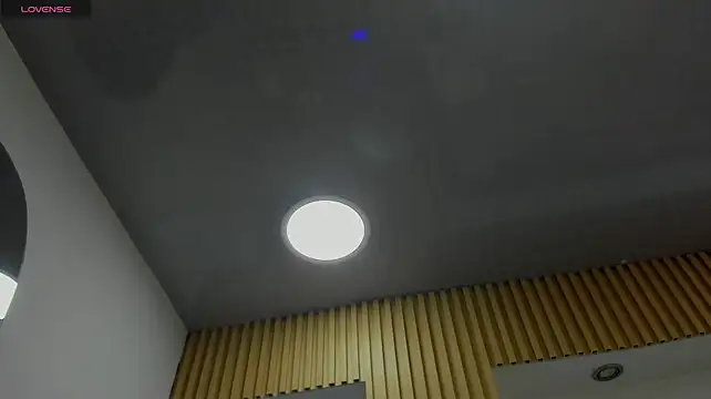 1Sloppy_Fox4 webcam
