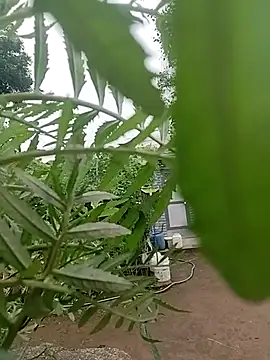 taniya0