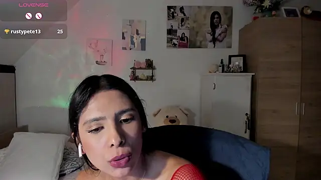 Veronikolsen- webcam