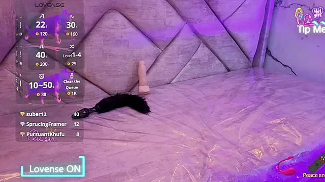 Victorycat_v webcam