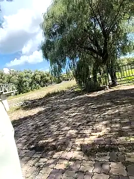 szy4418 (Ask my age) - #asian #blondes #chinese #medium #mobile #outdoor #recordable-publics #small-audience #small-cock #straight