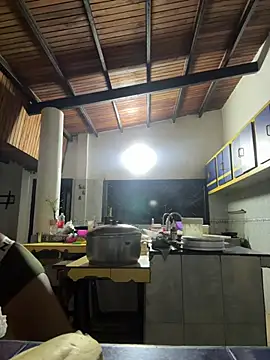 PrincesLeo webcam