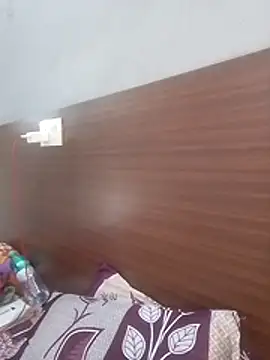 Hotferry webcam