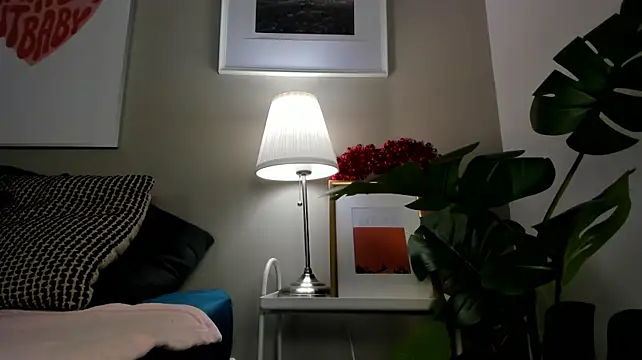 Scarleet_DH webcam