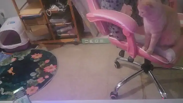 nastydianastrips webcam