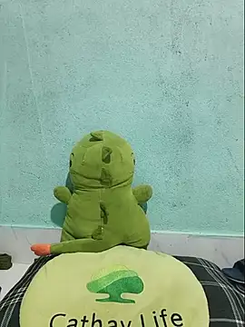 Shine_Mai webcam