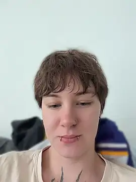 IceMur webcam