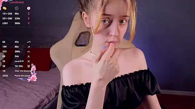 stelamontis webcam