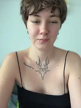 IceMur webcam