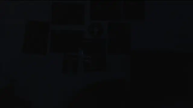 haomee webcam