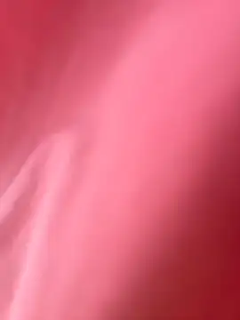 eveangelll