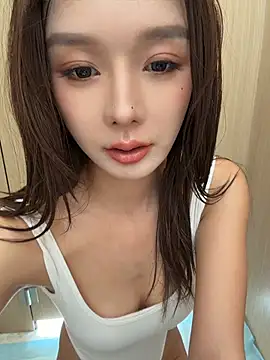 BBi-0329