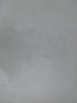 Rajani_student live cam on StripChat