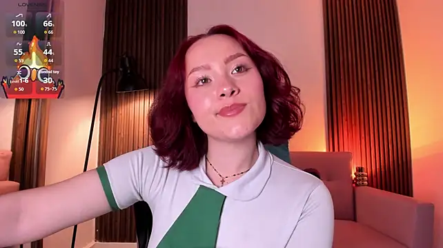 MAGIC_VERA webcam