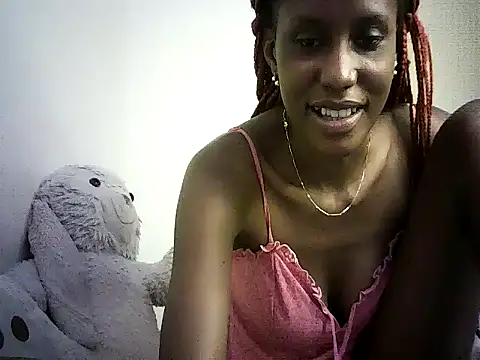 DelteAfriq webcam