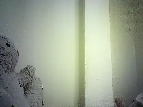 DelteAfriq webcam