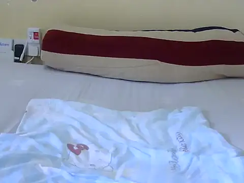 Scate webcam