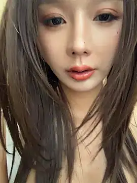 BBi-0329 webcam