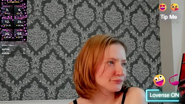PaleAurix live webcam