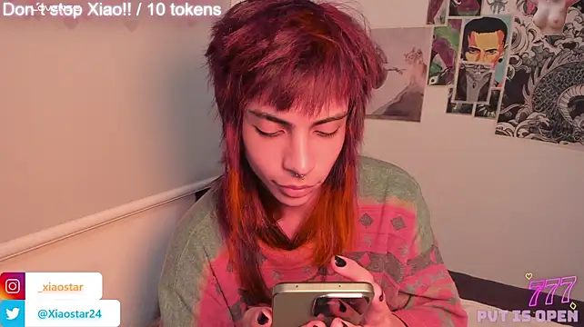 XiaoStar