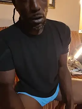 King_BlackStallion live cam on StripChat