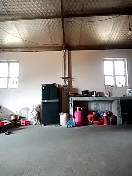Bella-lynlyn live webcam