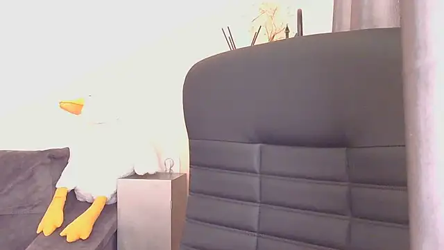Medjik_lool live cam on StripChat